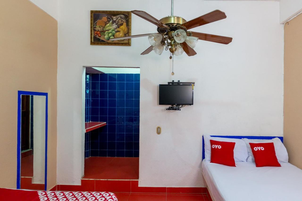 Hotel Isis photo