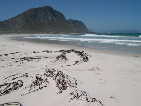 Beach: Jocks Place (on the sea)