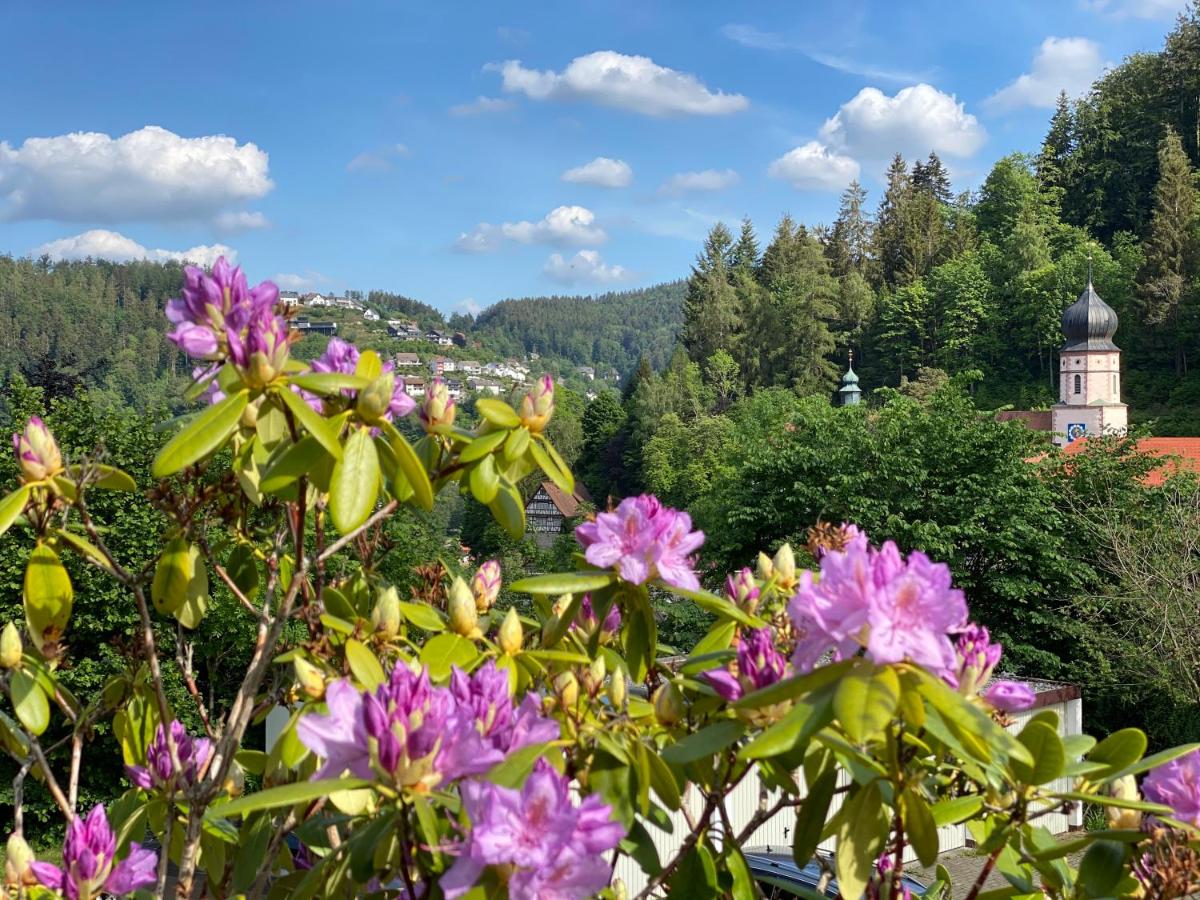 Ferienhaus Kroneck Triberg Bijgewerkte Prijzen 2021