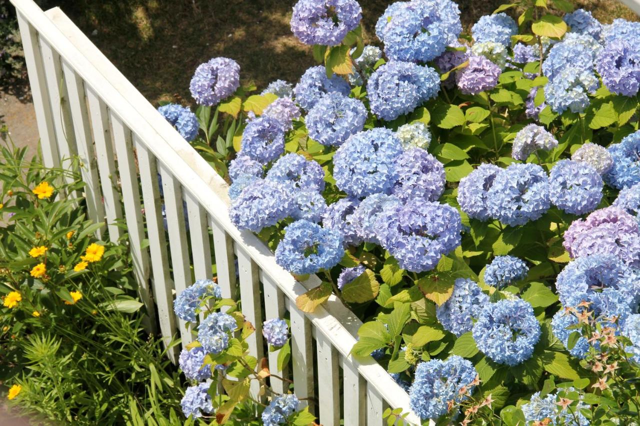 An English Garden — photo 9