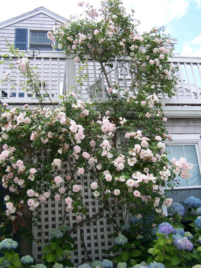 An English Garden — photo 8