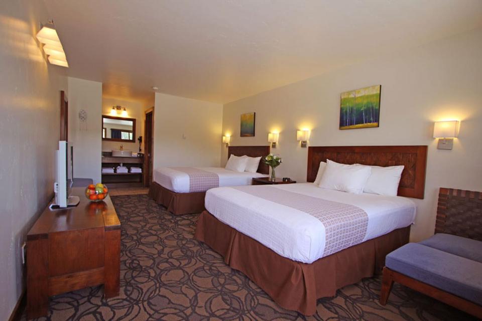 Mount Princeton Hot Springs Resort — photo 13
