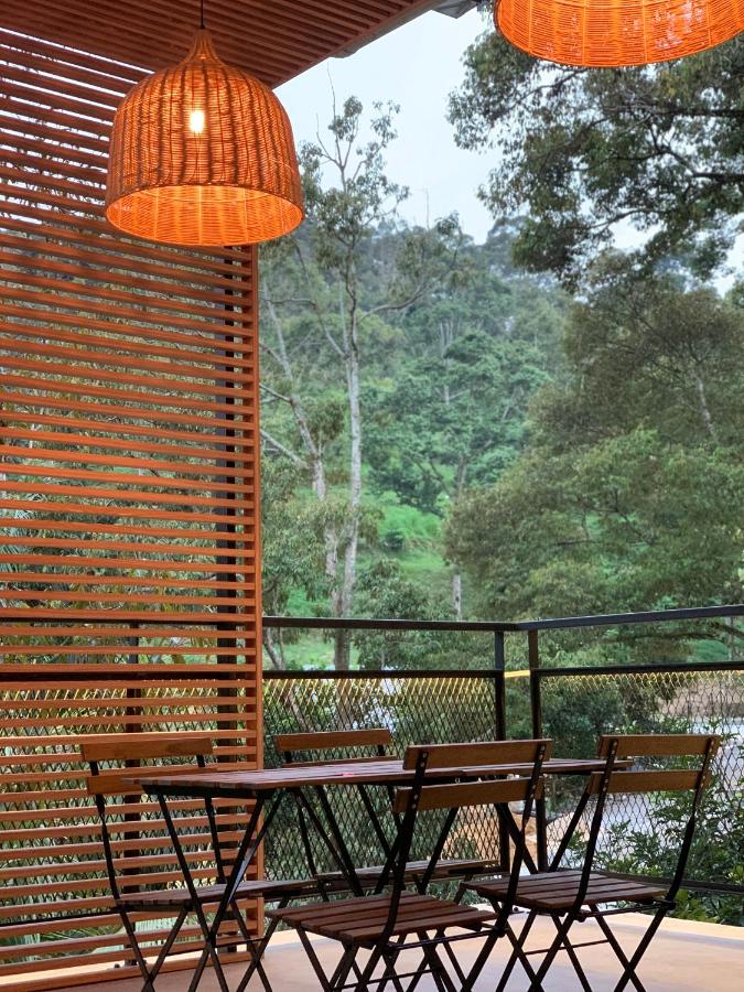Broga Orchard Hill Beroga Updated 2021 Prices