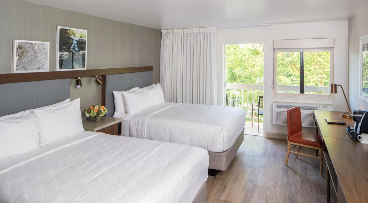 The Domain Hotel — photo 15