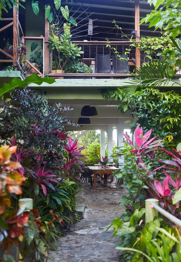 Hibiscus Valley Inn - 2