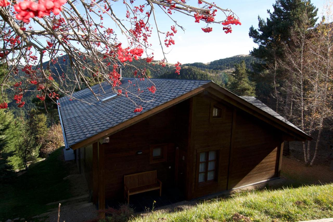 Chalet de montaña Cabana Coll Sisé (España La Molina ...