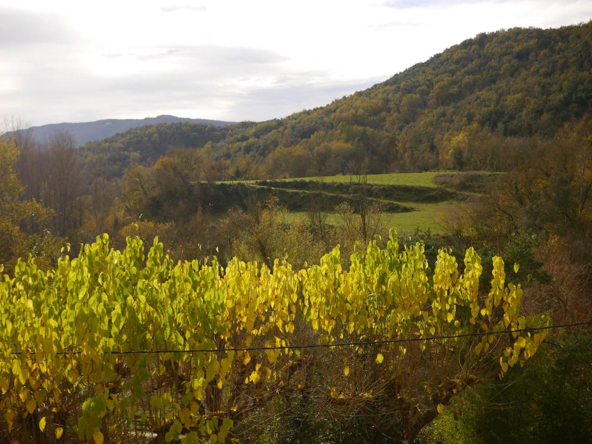 Mas Franch, Sant Miquel de la Pineda – Precios 2022 actualizados