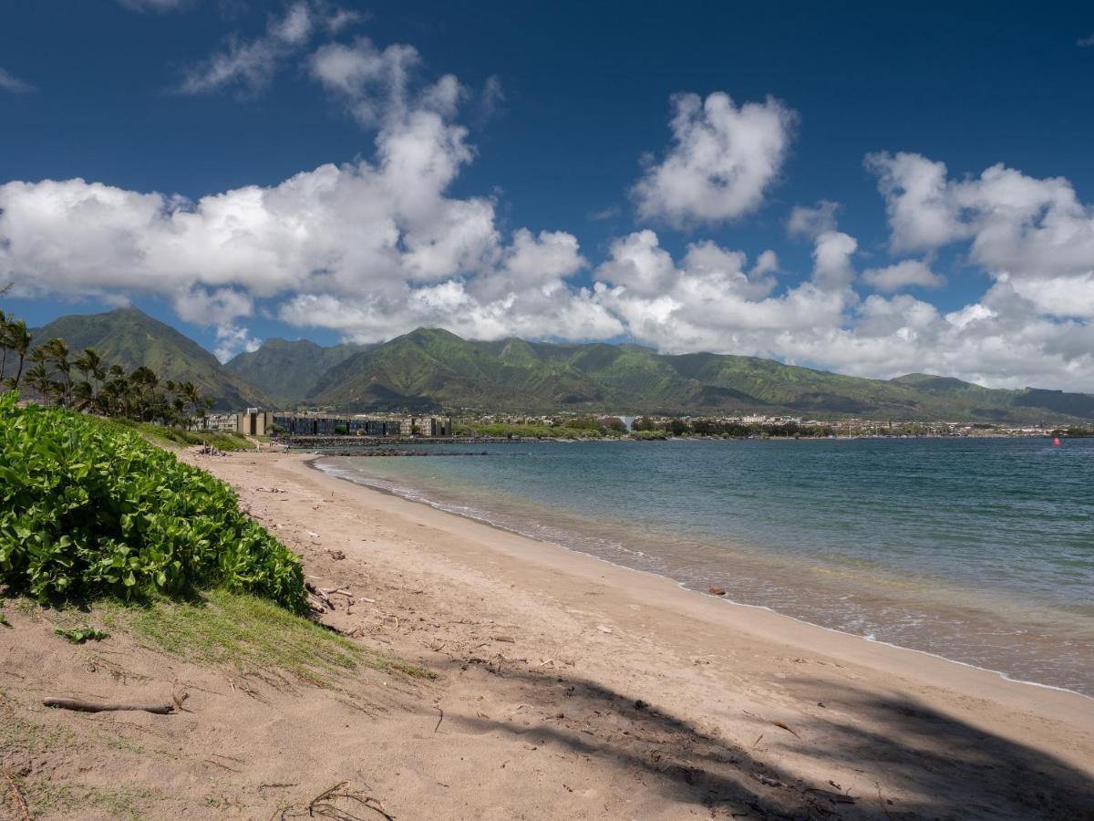 Maui Seaside Hotel — photo 4