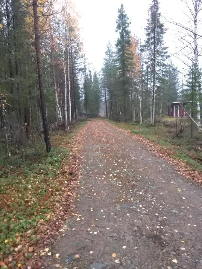 Riverside Cottage near Ylläs, Lapland, Kittilä – Updated 2022 Prices