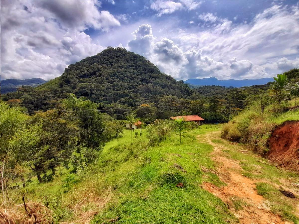 La Perla Negra - Black Pearl Eco Hostel, San Rafael – Aktualisierte Preise  für 2023