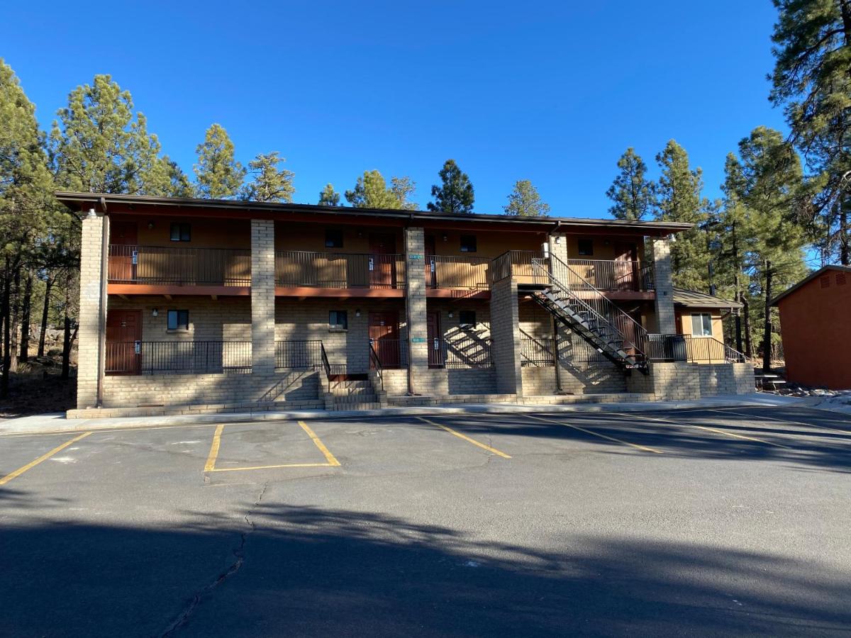 Motel In The Pines — photo 10