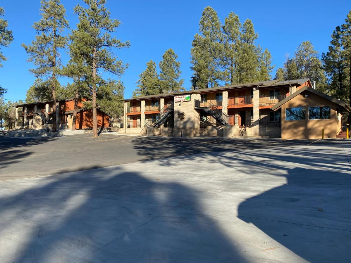 Motel In The Pines — photo 13