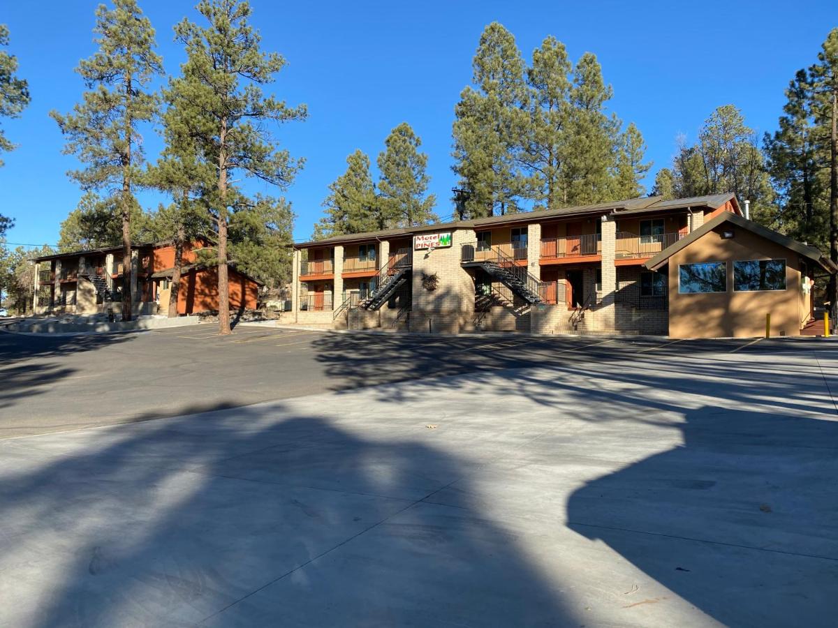 Motel In The Pines — photo 15