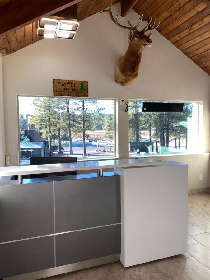 Motel In The Pines — photo 12
