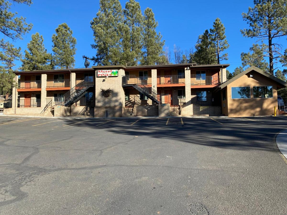 Motel In The Pines — photo 11