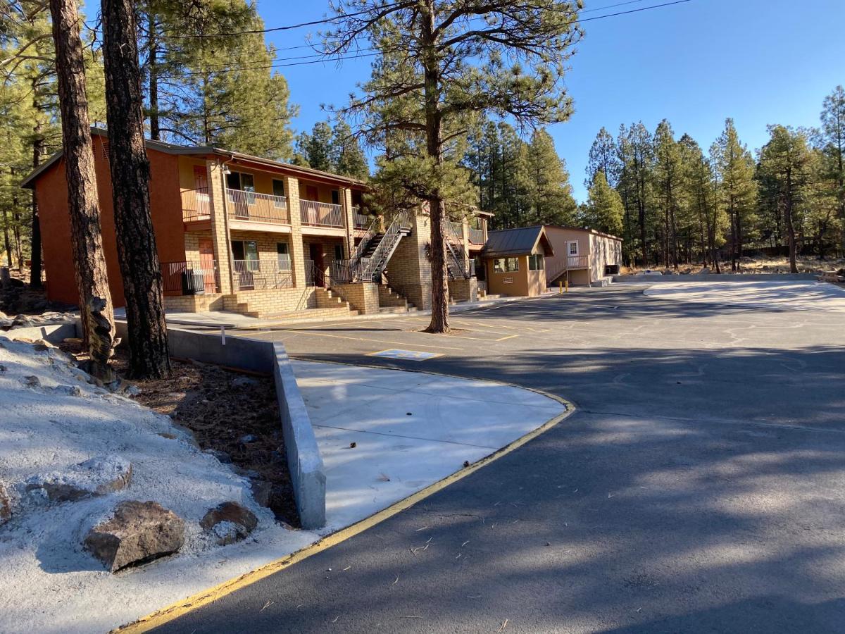 Motel In The Pines — photo 16