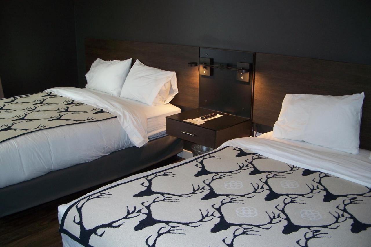 Terra Nova Cabins — photo 10