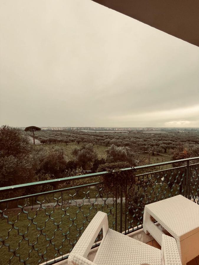 Tenuta Re Ferdinando photo