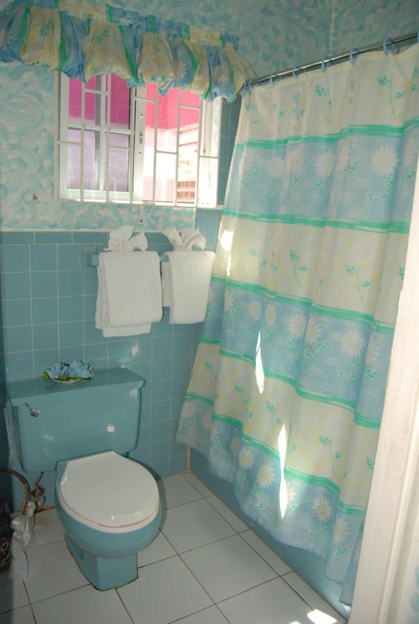 Pink Hibiscus Bed and Breakfast - 5