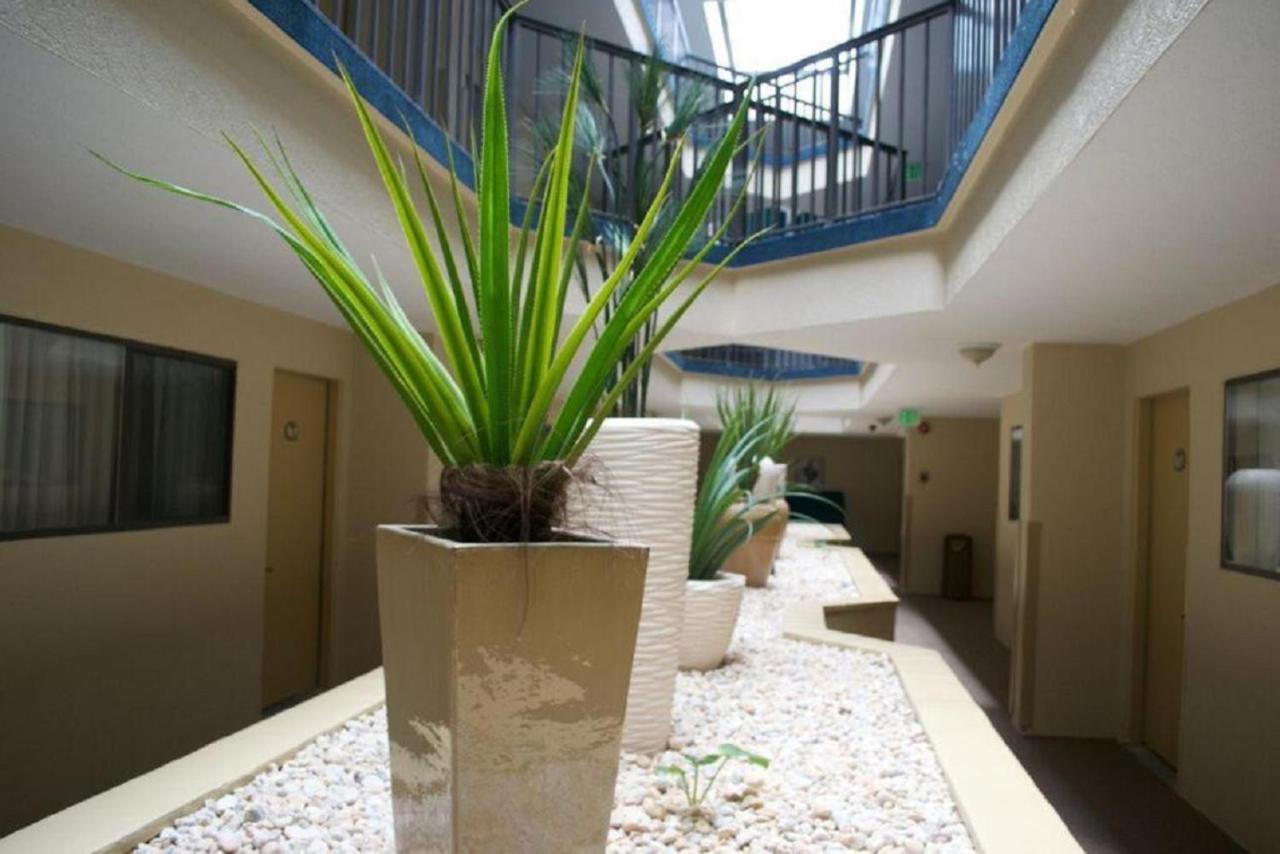 Brighton Suites Hotel — photo 8