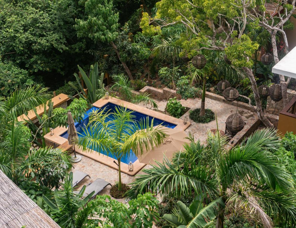 Maquil Hotel and Villas pool view surrounded by green plants and trees