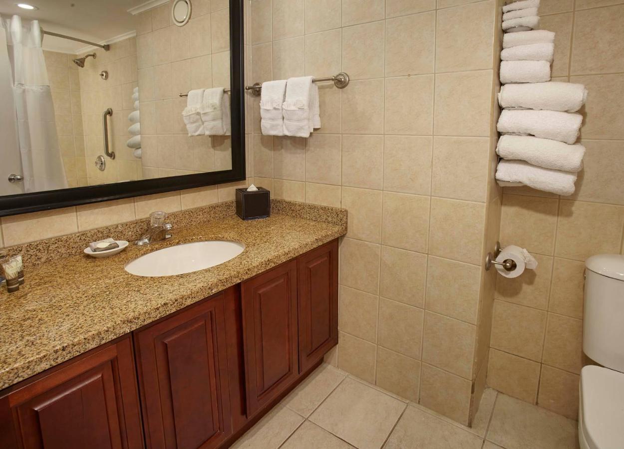 Divi Aruba Phoenix Beach Resort photo
