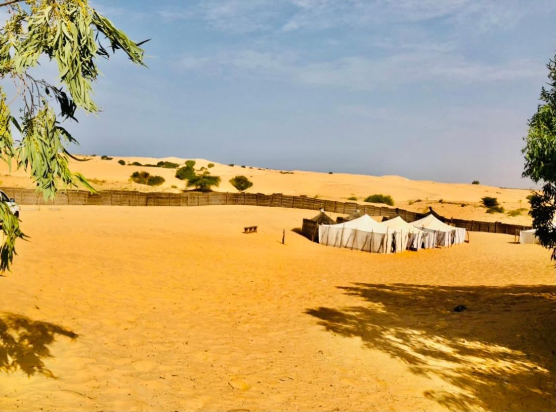 Image: AFRICA ROOTS DESERT