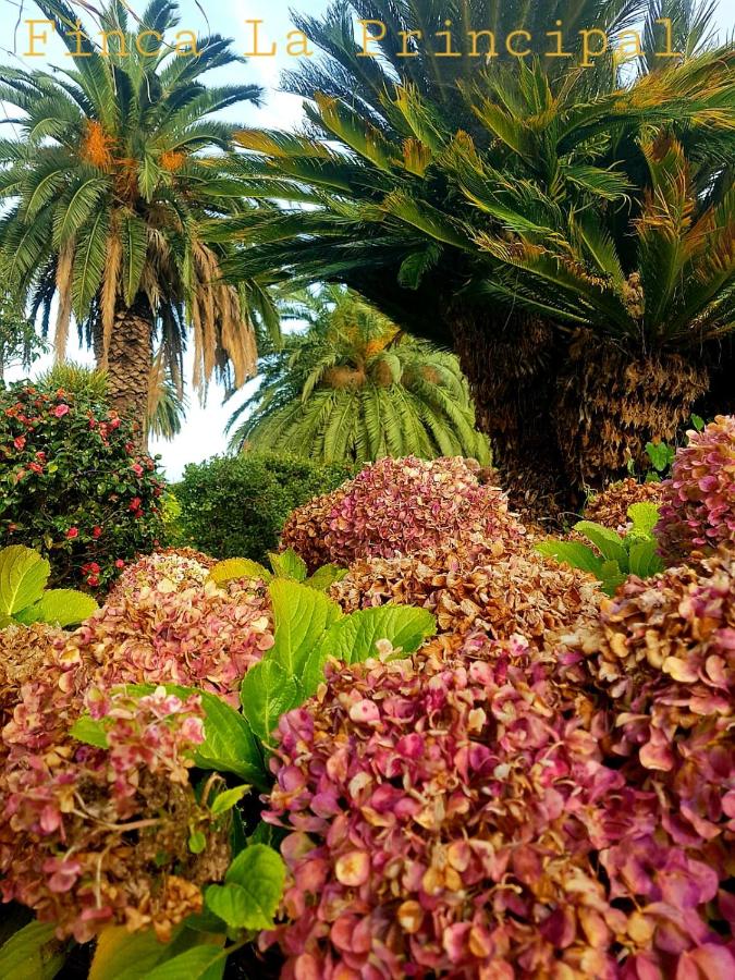 Finca La Principal, Breña Alta – Updated 2022 Prices