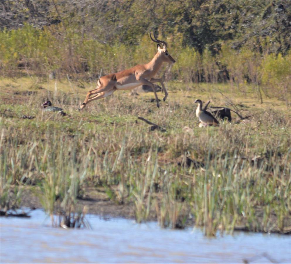 Crocodile Pools River Safaris Resort photo