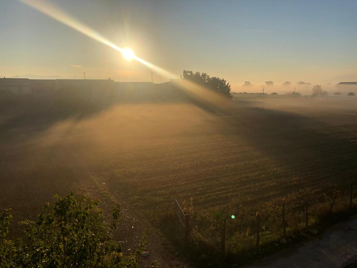 La Casa di Pedro - 3