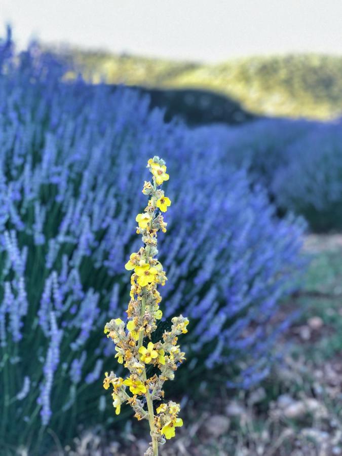 hotel aliya konak koy evi ve lezzetleri isparta turkey booking com