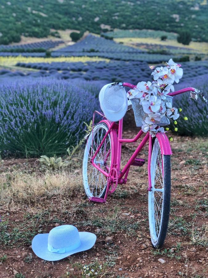 hotel aliya konak koy evi ve lezzetleri isparta turkey booking com