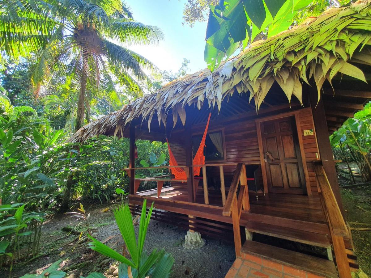 Cariblue Beach and Jungle Resort photo