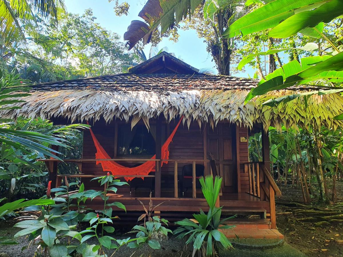 Cariblue Beach and Jungle Resort photo