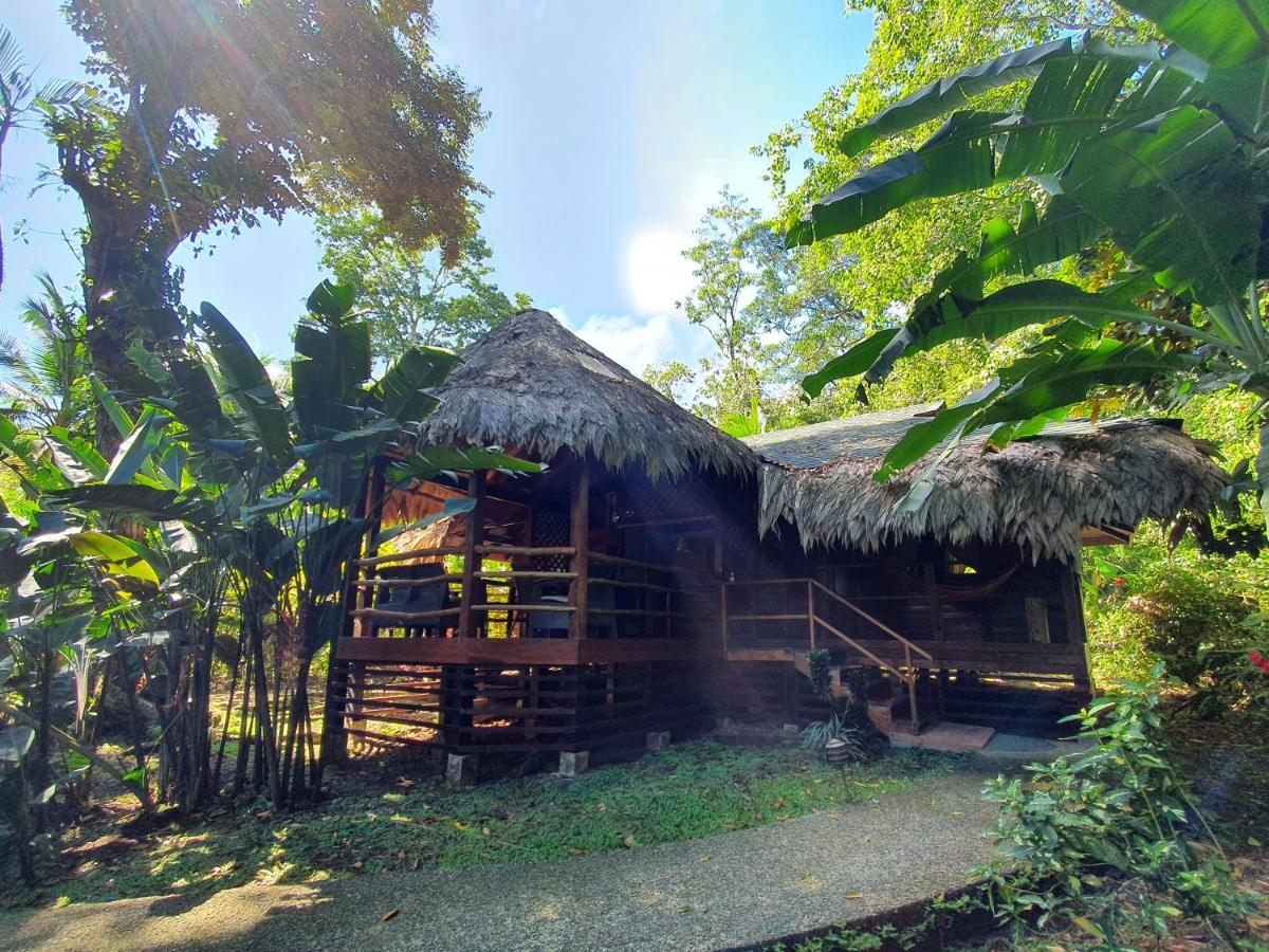 Cariblue Beach and Jungle Resort photo