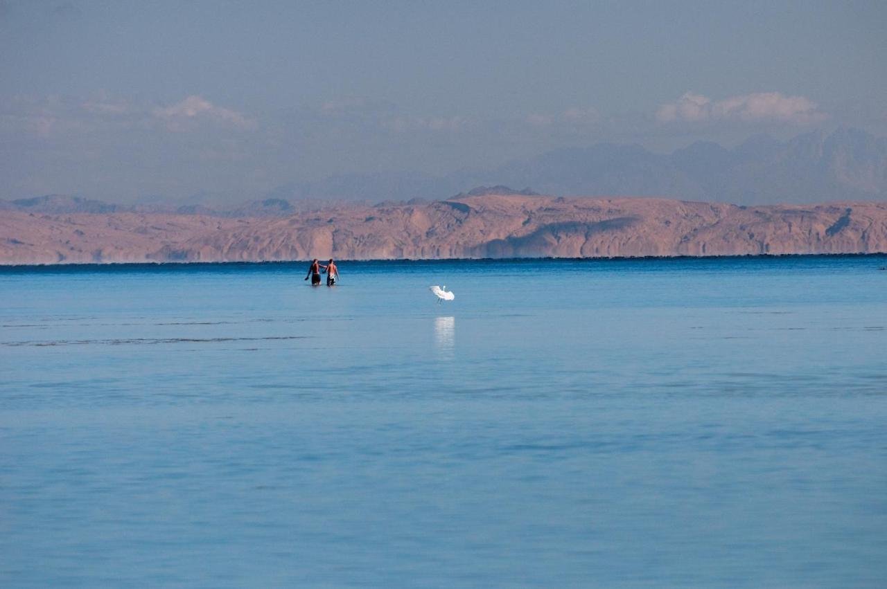 Amwaj Oyoun Resort & Casino photo