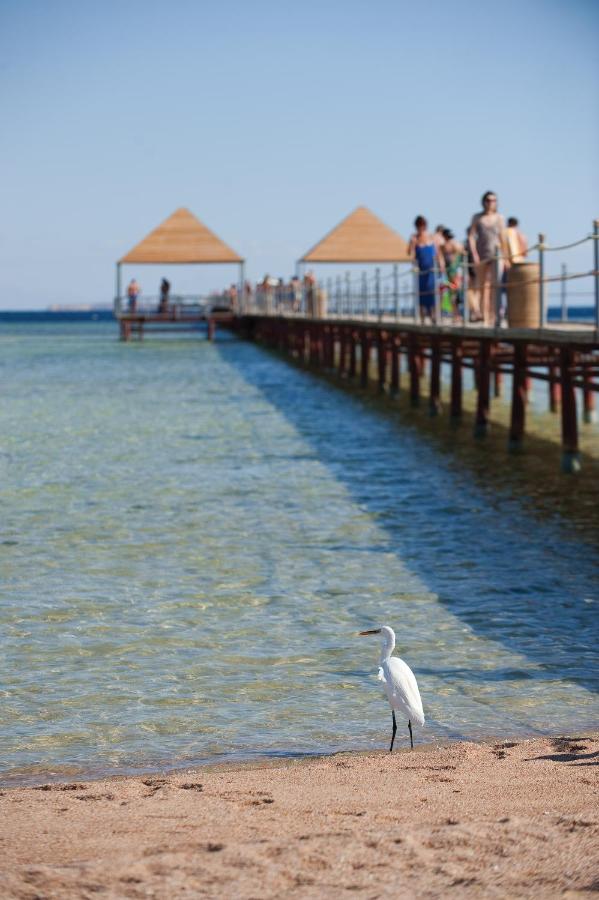 Amwaj Oyoun Resort & Casino photo