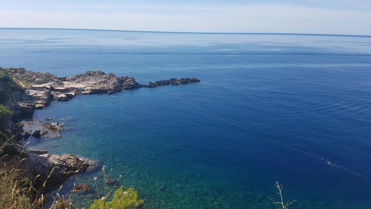 Beach: Apartment Gradac with garden next to beach and Old Town