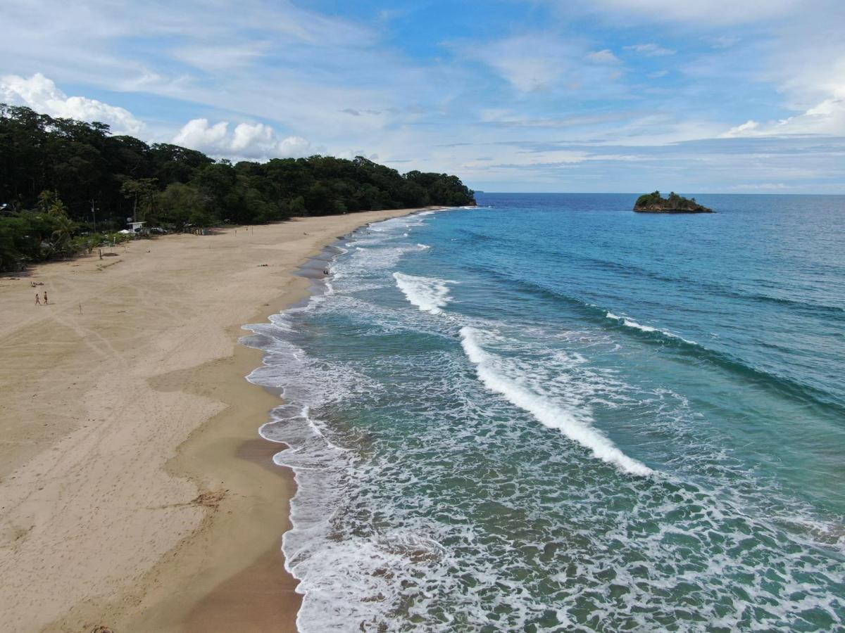 Cariblue Beach and Jungle Resort photo