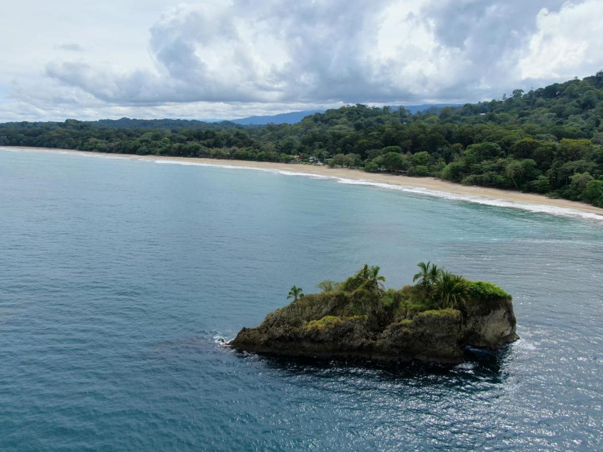 Cariblue Beach and Jungle Resort photo