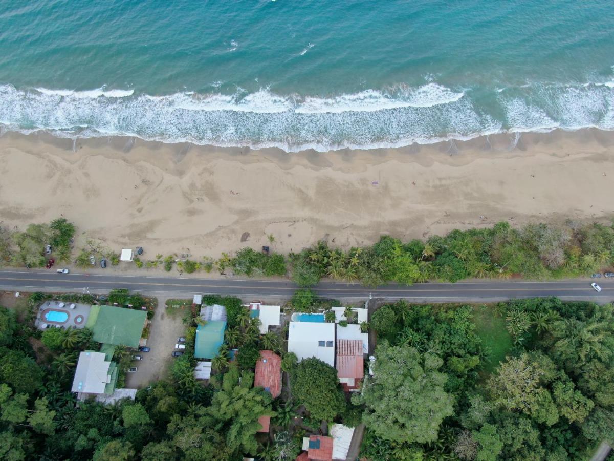Cariblue Beach and Jungle Resort photo