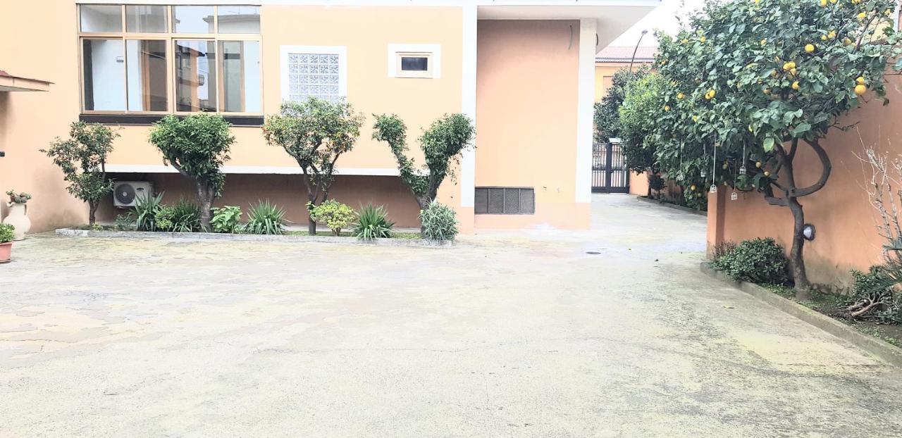 B&B I Pini photo