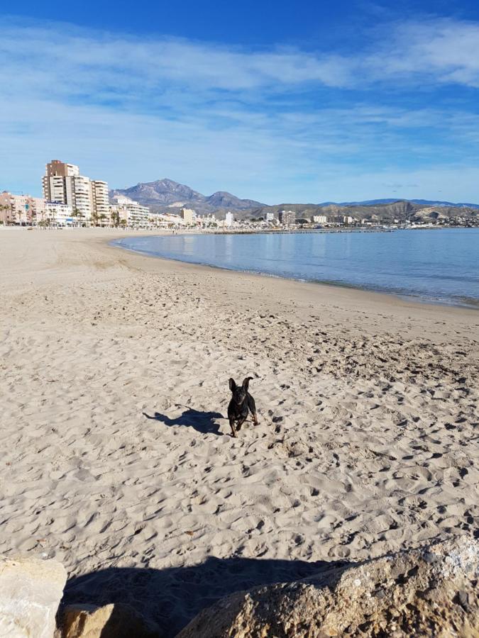 Camping Costa Blanca, El Campello – Bijgewerkte prijzen 2022