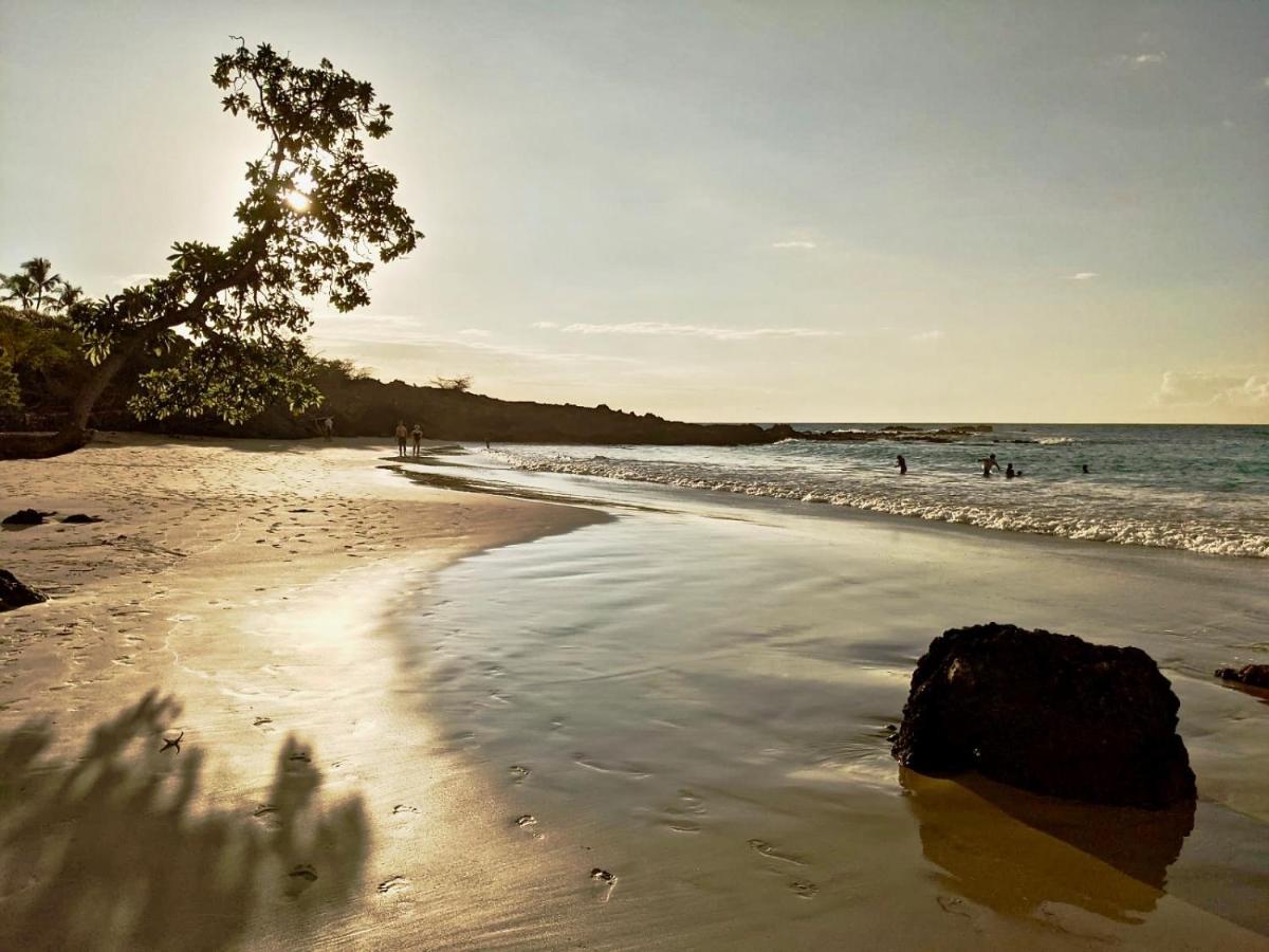 Beach: Unwind on Your Fantasy Hawaiian Vacation- 1BD/1BA Condo in Kailua-Kona, Hawaii