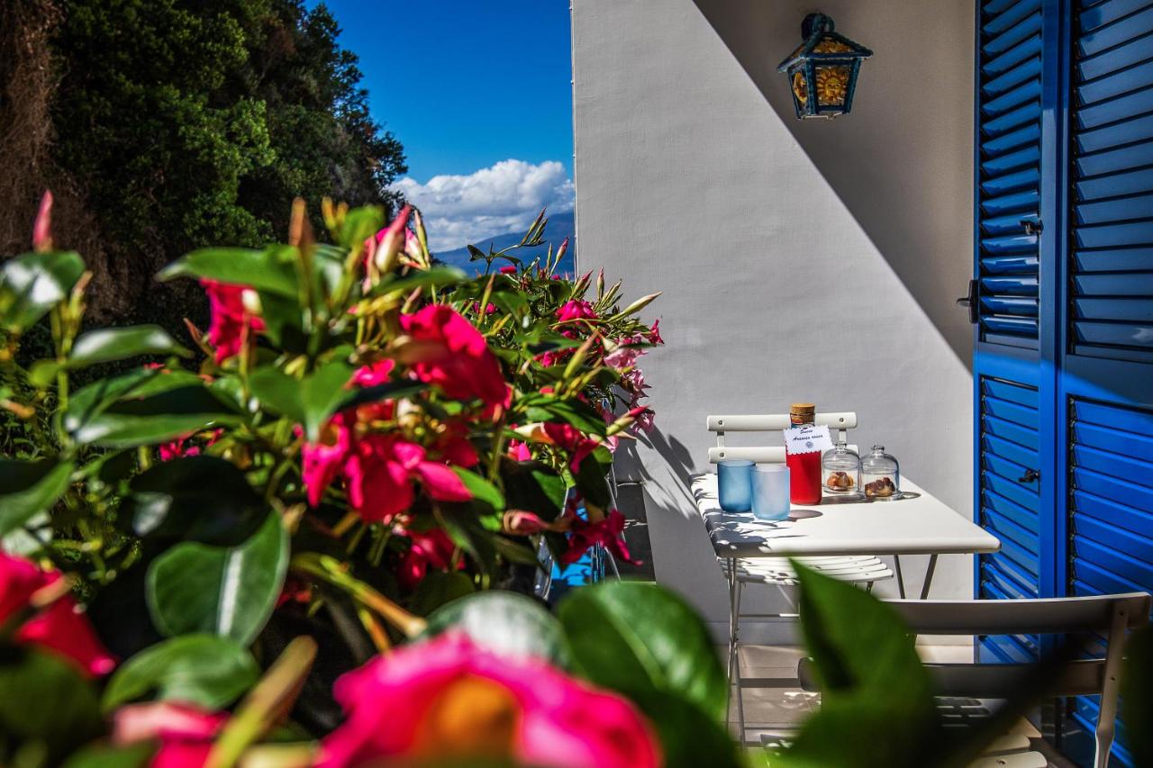 Doneduà B&B photo