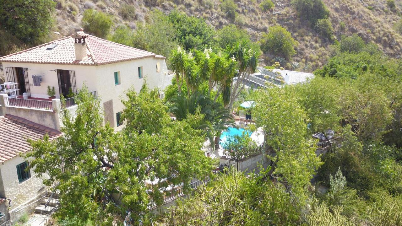 Appartement Cortijo Jamaica - The perfect group (Spanje Los ...