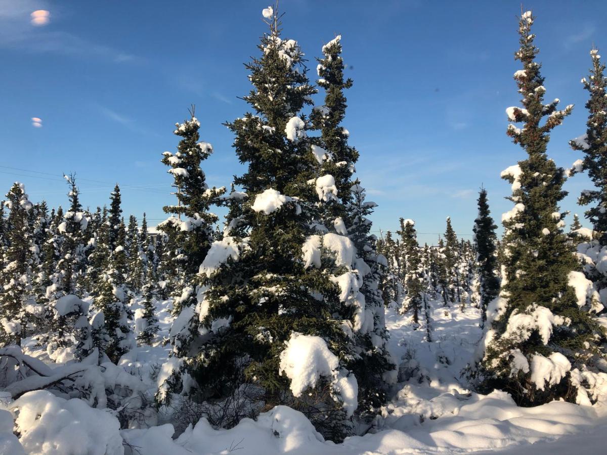 Aurora Denali Lodge — photo 11