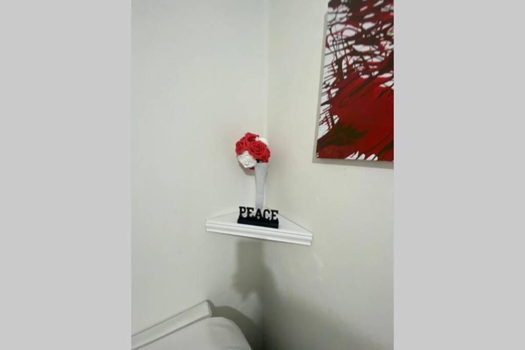 Quite Suburbs of Bridgeport - 4