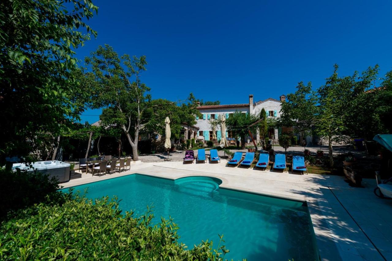 Villa Damiana photo