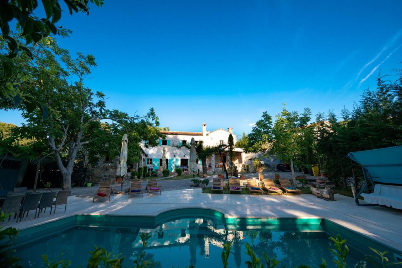Villa Damiana photo